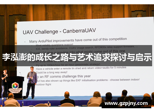 李泓澎的成长之路与艺术追求探讨与启示