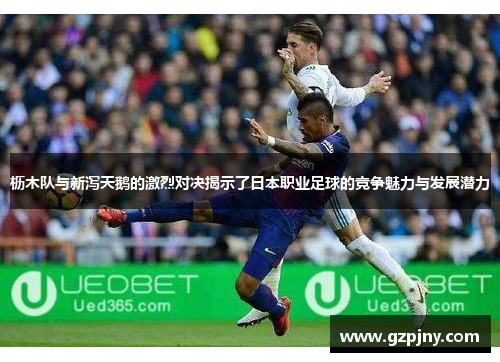 枥木队与新泻天鹅的激烈对决揭示了日本职业足球的竞争魅力与发展潜力